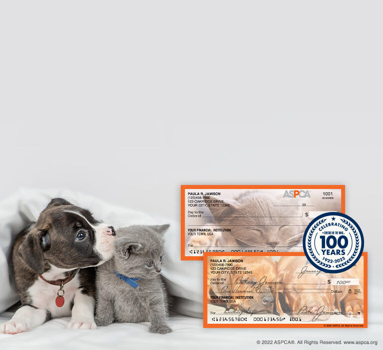 Personal Checks, Business Checks and More Checks In The Mail