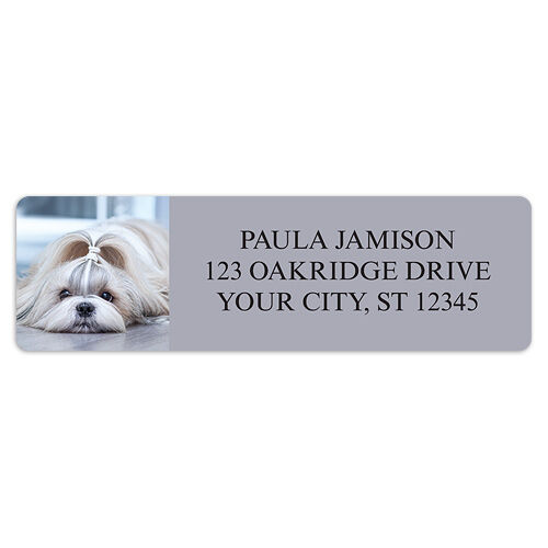 Shih-Tzu Sheet Labels