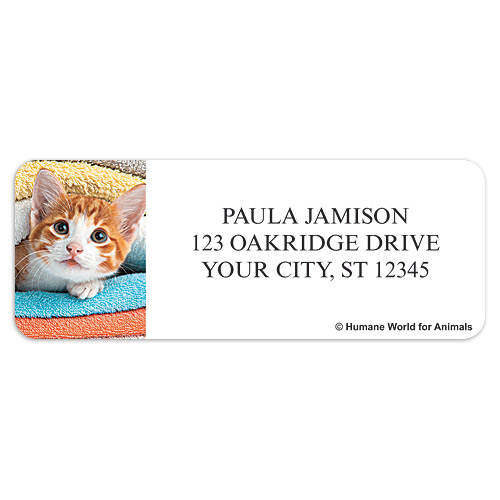 Humane World for Animals Cats Sheet Labels