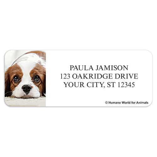 Humane World for Animals Dogs Sheet Labels
