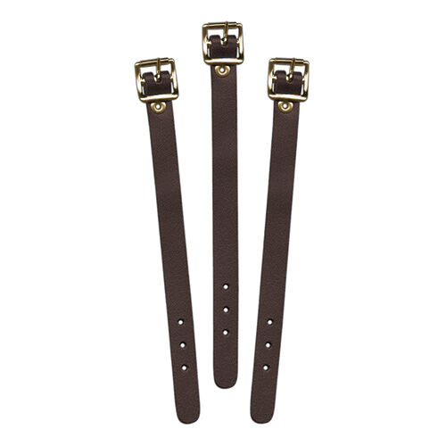 Brown Leather Luggage Strap