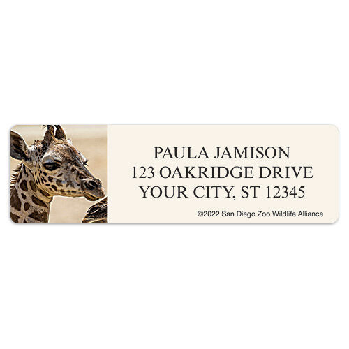 San Diego Zoo Giraffe Sheet Labels