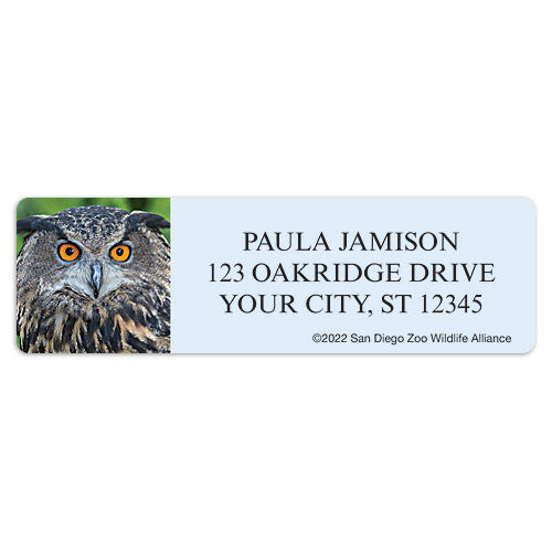 San Diego Zoo Owl Sheet Labels