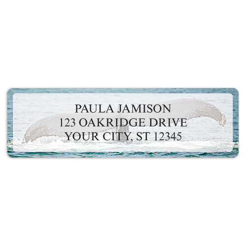 Whale Tails Sheet Labels