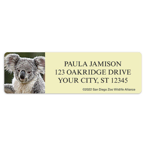 San Diego Zoo Koala Sheet Labels