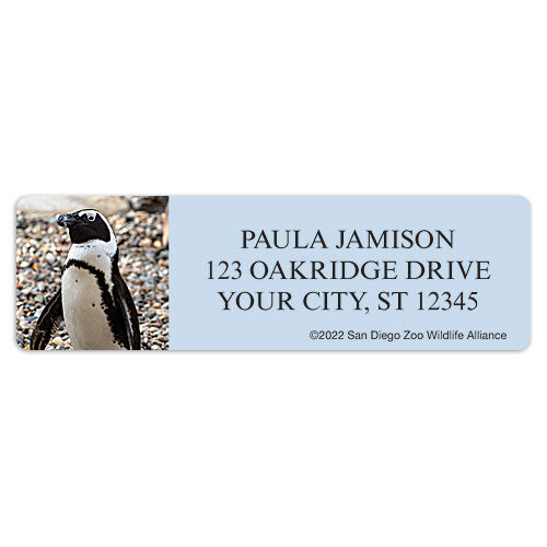 San Diego Zoo Penguin Sheet Labels