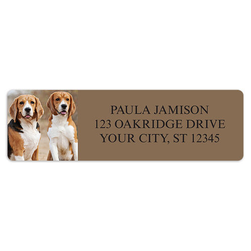 Beagle Sheet Labels
