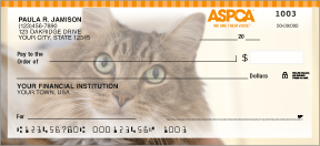 checks in the mail