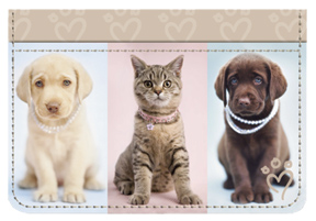 Order your personal checks- Labrador Dogs and Kitten Trio Debit Caddy 