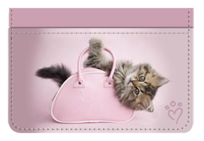 Order your personal checks- Kitten Debit Caddy 