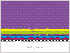 LKD Purple Dots Notes