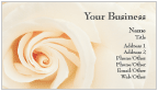 Rose Business Cards