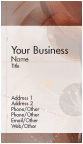 World Travel Business Cards