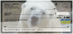 Bear Bonanza Checks