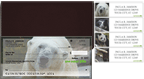Bonus Buy - Bear Bonanza