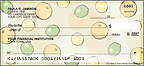 Fruits Checks