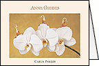 Orchid Trio Folded Notes