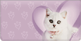 Rachael Hale Kittens Leather Cover