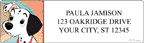 Fun Designs Address Labels